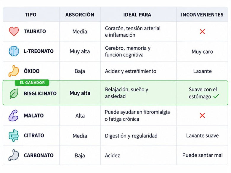Comparativa de formas de magnesio y su absorción